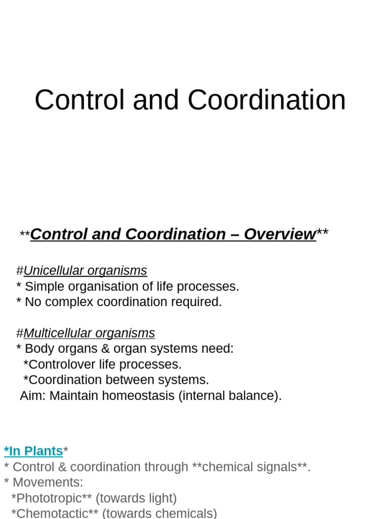 Control and Coordination | PDF | Chemical Synapse | Neuron