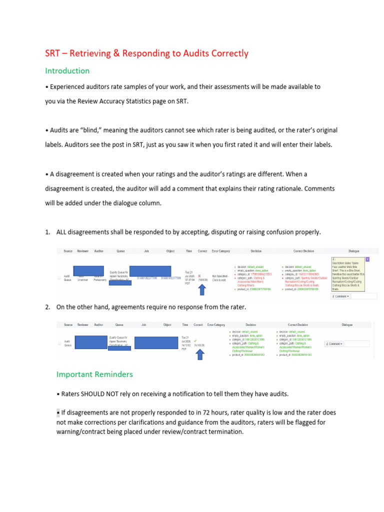 My Accuracy For Raters Guidelines | PDF | Audit