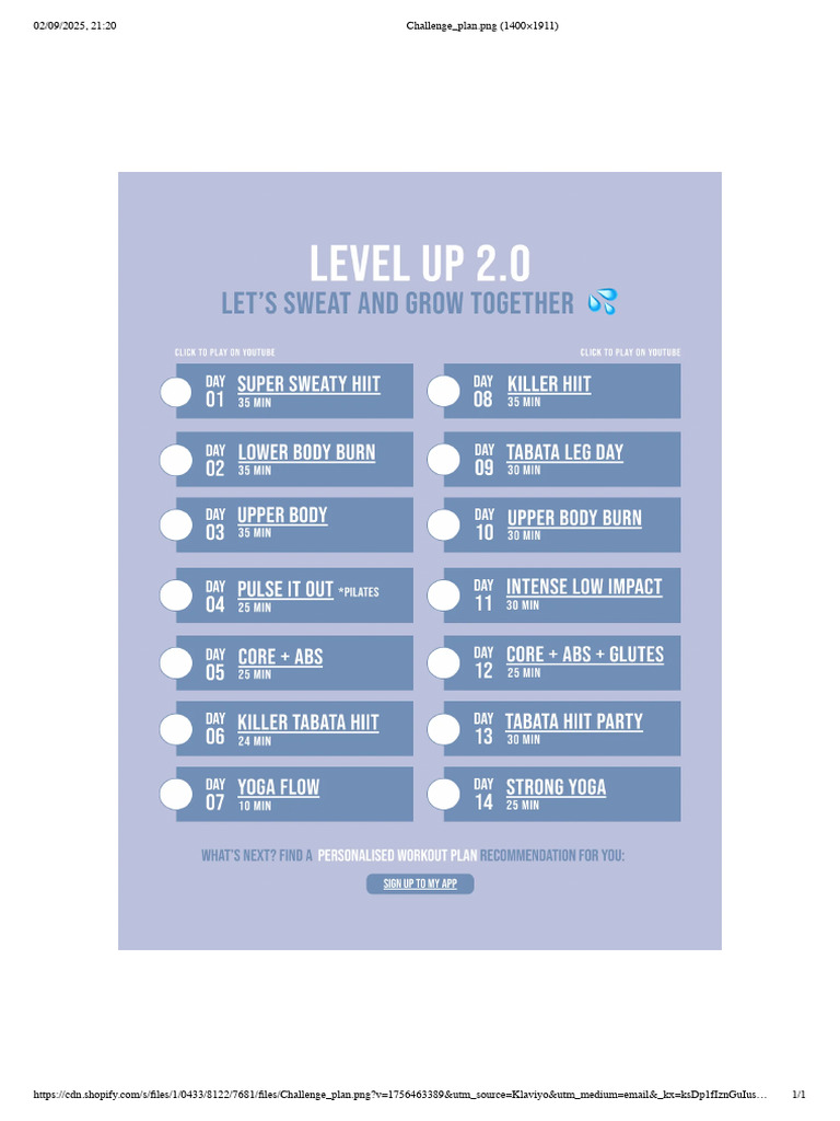 Challenge Plan | PDF