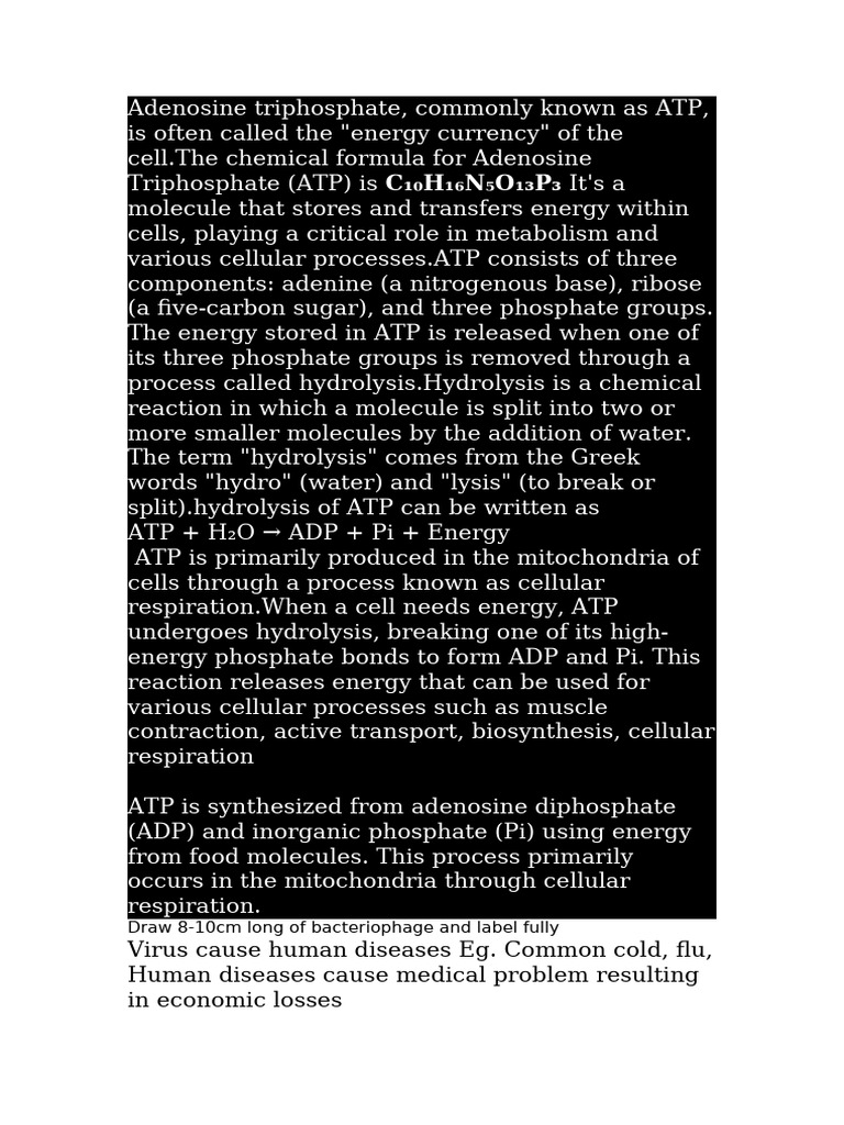 Adenosine Triphosphate | PDF