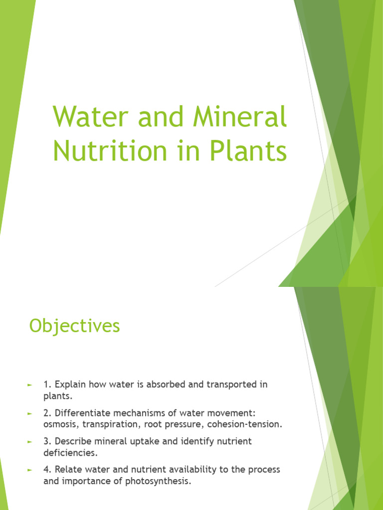 Water and Mineral Nutrition in Plants | PDF | Plant Nutrition | Root