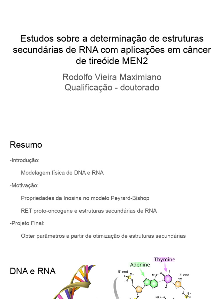 Estruturas Secundárias de RNA em Câncer MEN2 | PDF | Polimorfismo de ...