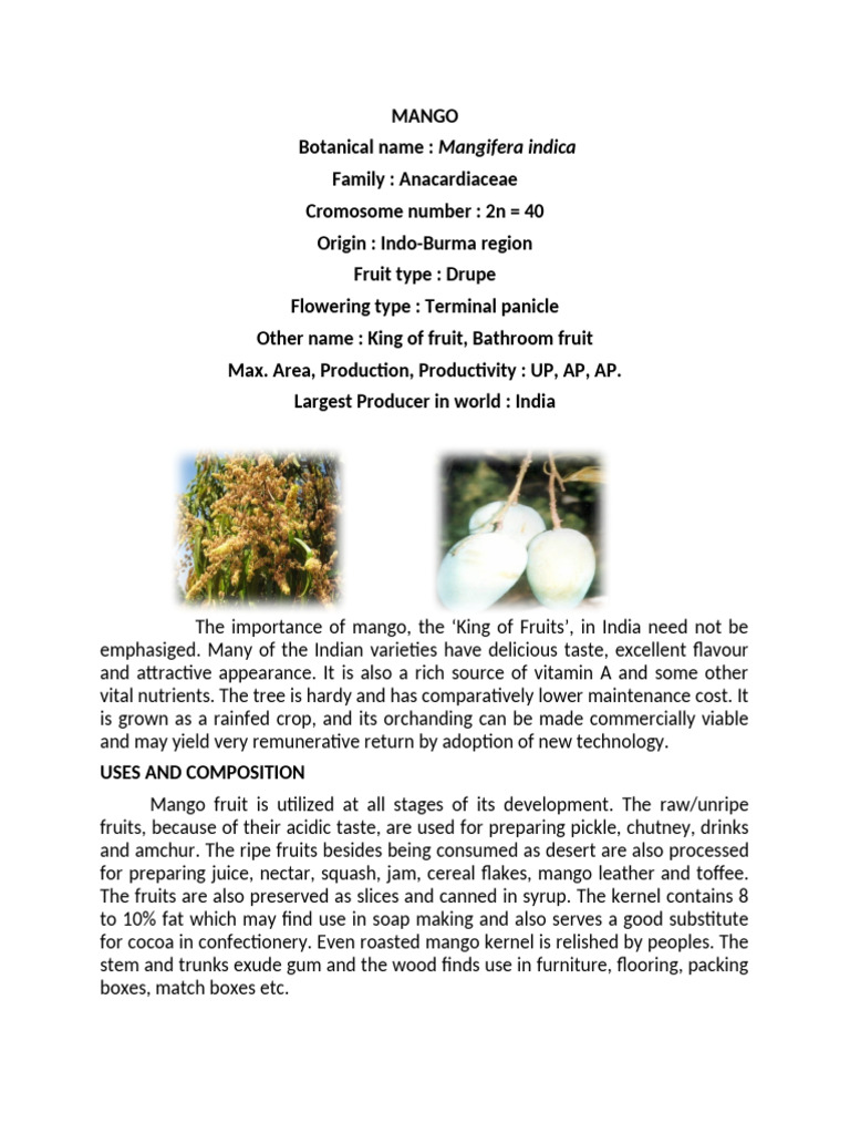 Chapter Mango | PDF | Grafting | Mango