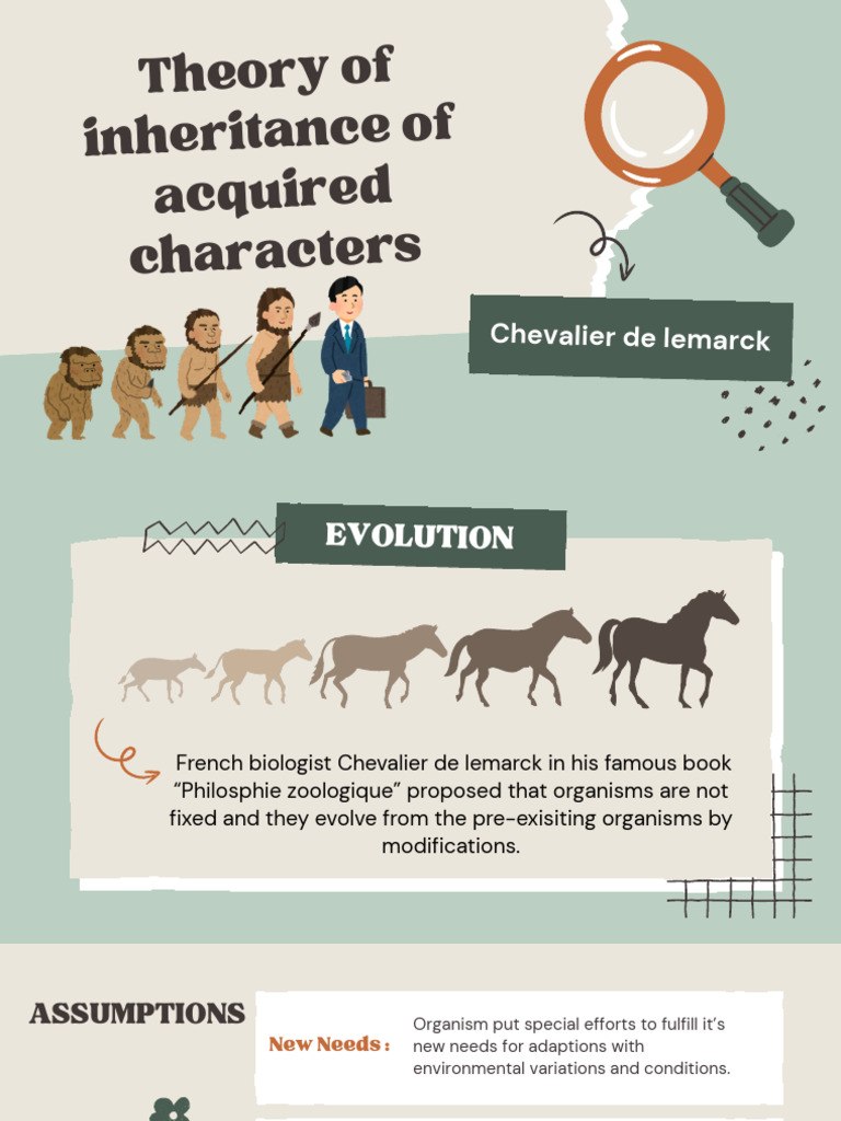 Lamarck's Inheritance Theory Explained | PDF | Evolution | Nature