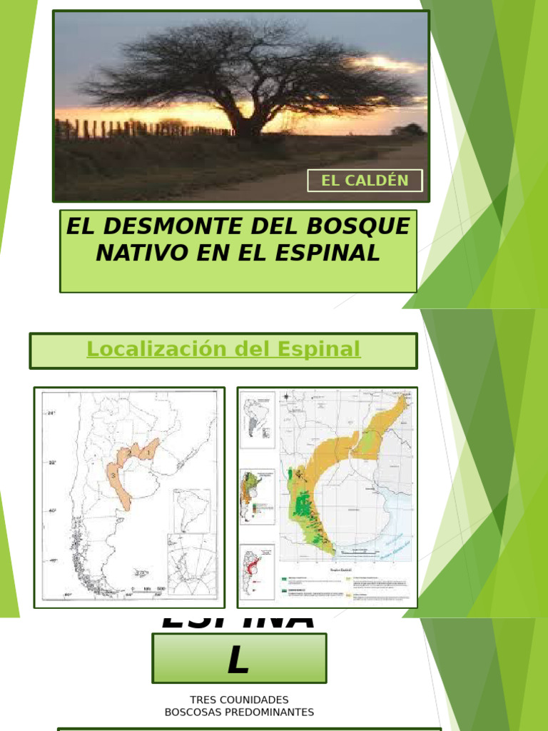 Desmonte del Bosque Nativo en el Espinal | PDF