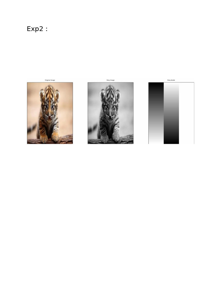 File Dip | PDF