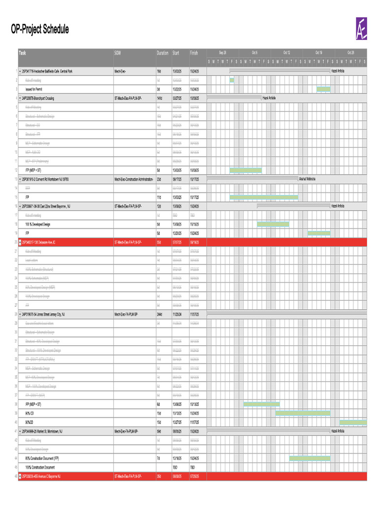 OP-Project Schedule Overview | PDF