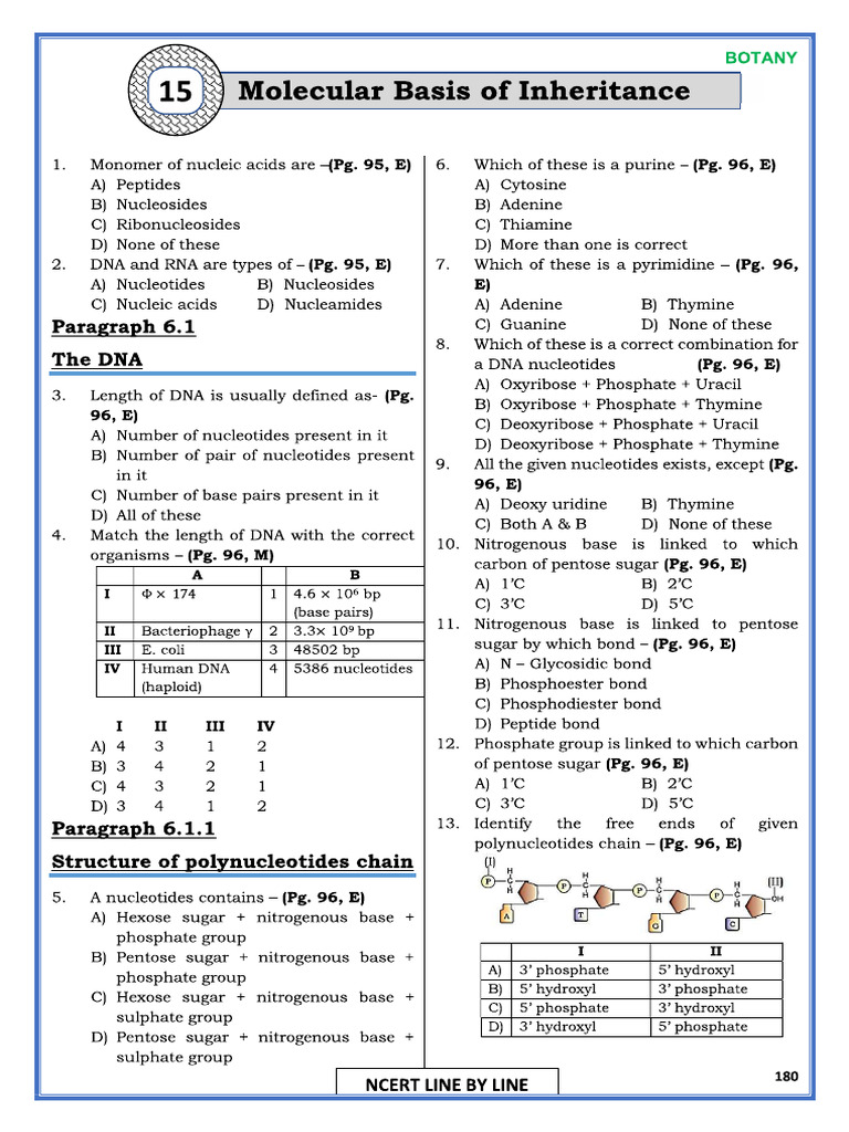 4molecular Basis of Inheritance - NCERT - QB | PDF
