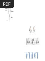 Cane Gait Patterns Explained | PDF | Chair
