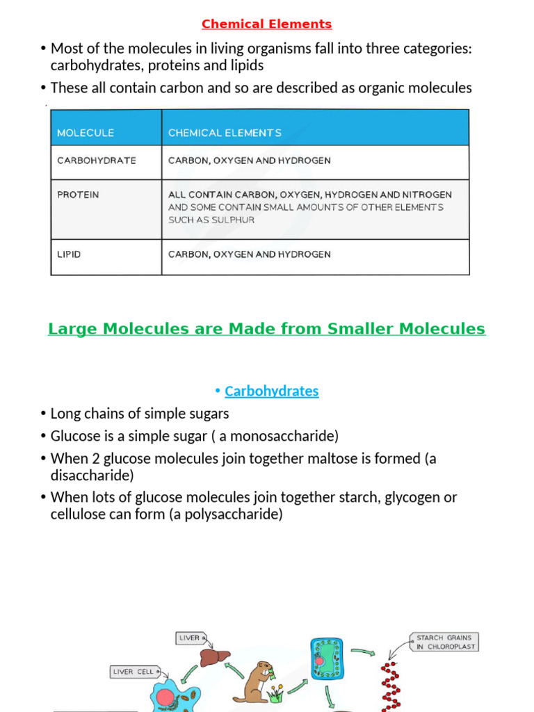 Biological Molecules | PDF | Carbohydrates | Glucose