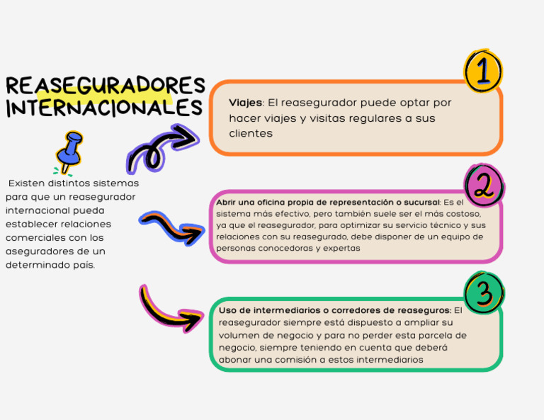 Sistemas de Reaseguradores para Relaciones Comerciales Con Aseguradores ...