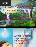 Cuidando el medio ambiente