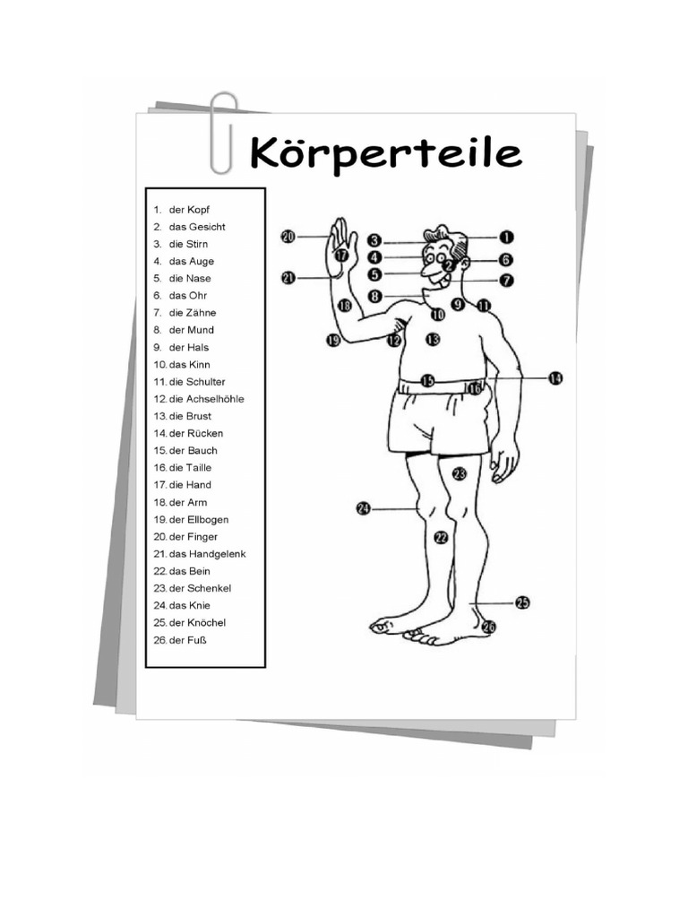 Körper Teil e | PDF