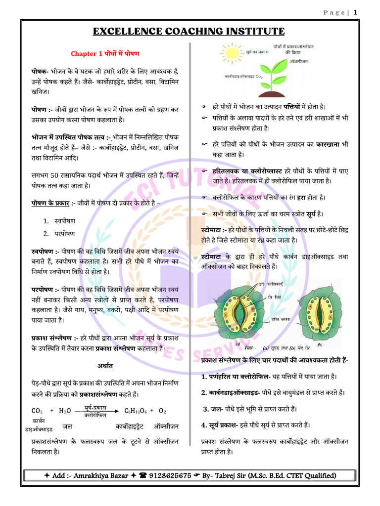 NCERT Class 7th Science Notes Sample | PDF