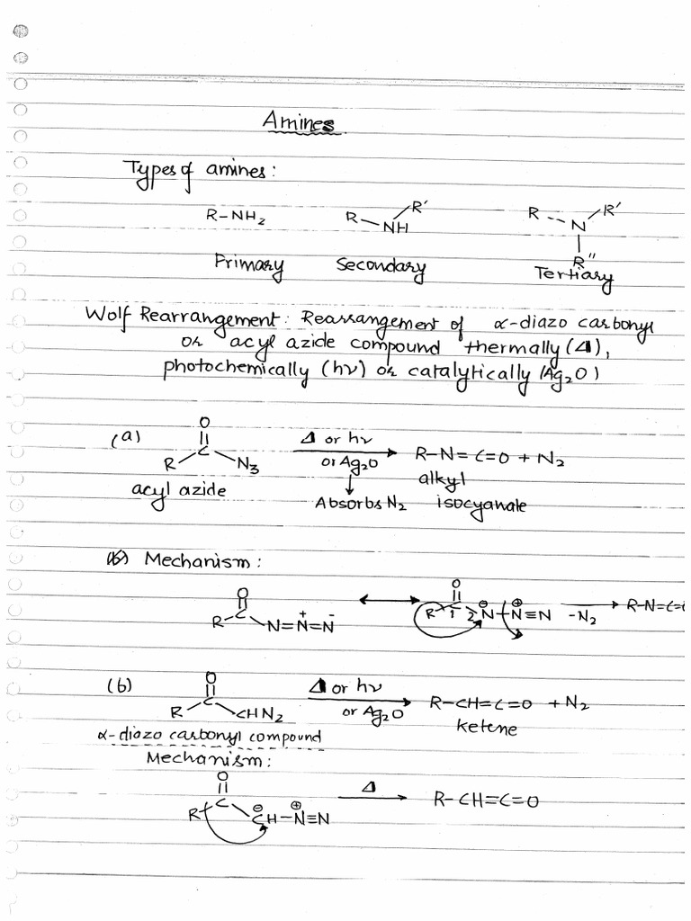 Amines OC Notes | PDF