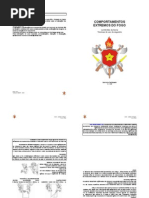 comportamentosextremosdofogo