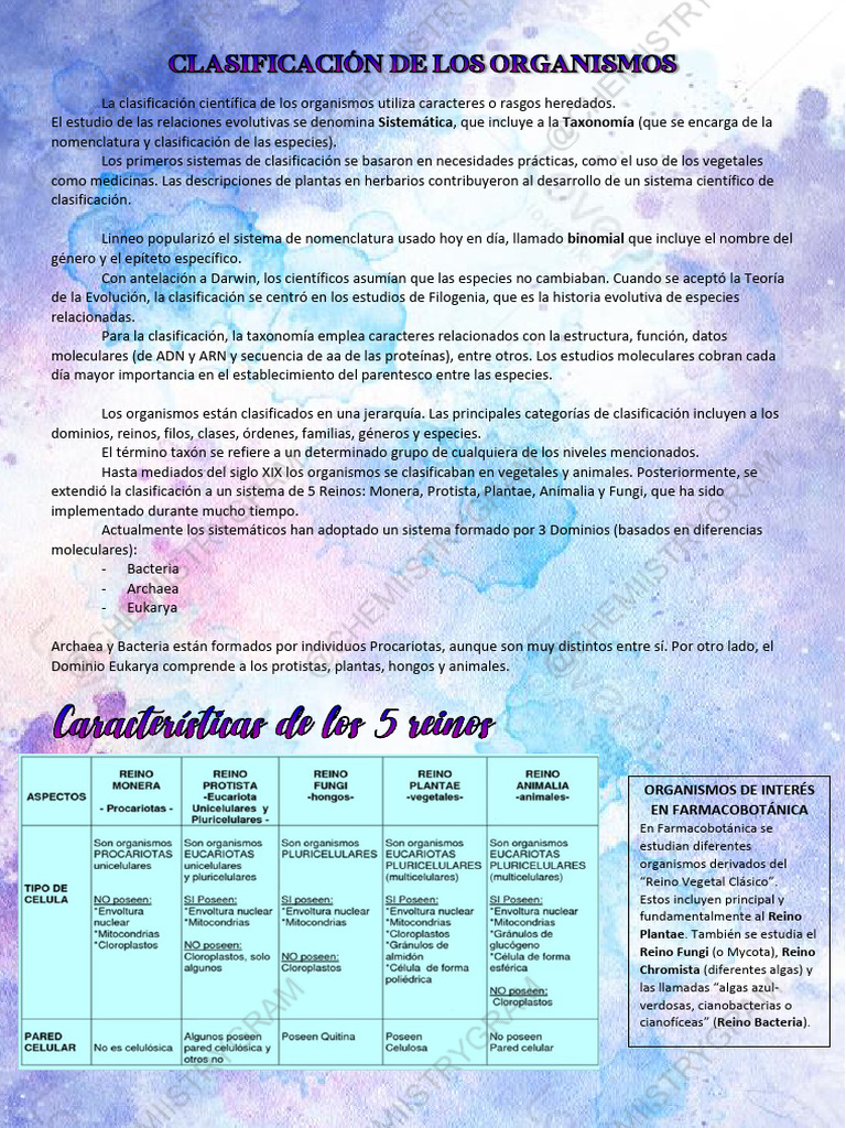 Teo7 FB Algas y Hongos | PDF | Taxonomía (biología) | Algas