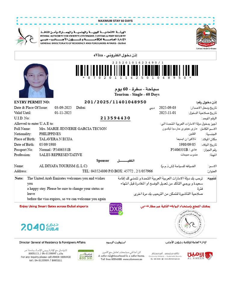 E Visa | PDF