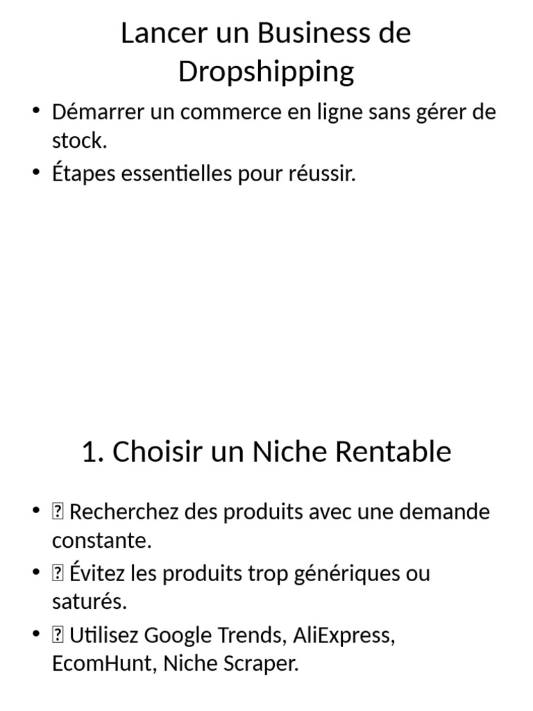 Guide Pratique du Dropshipping | PDF