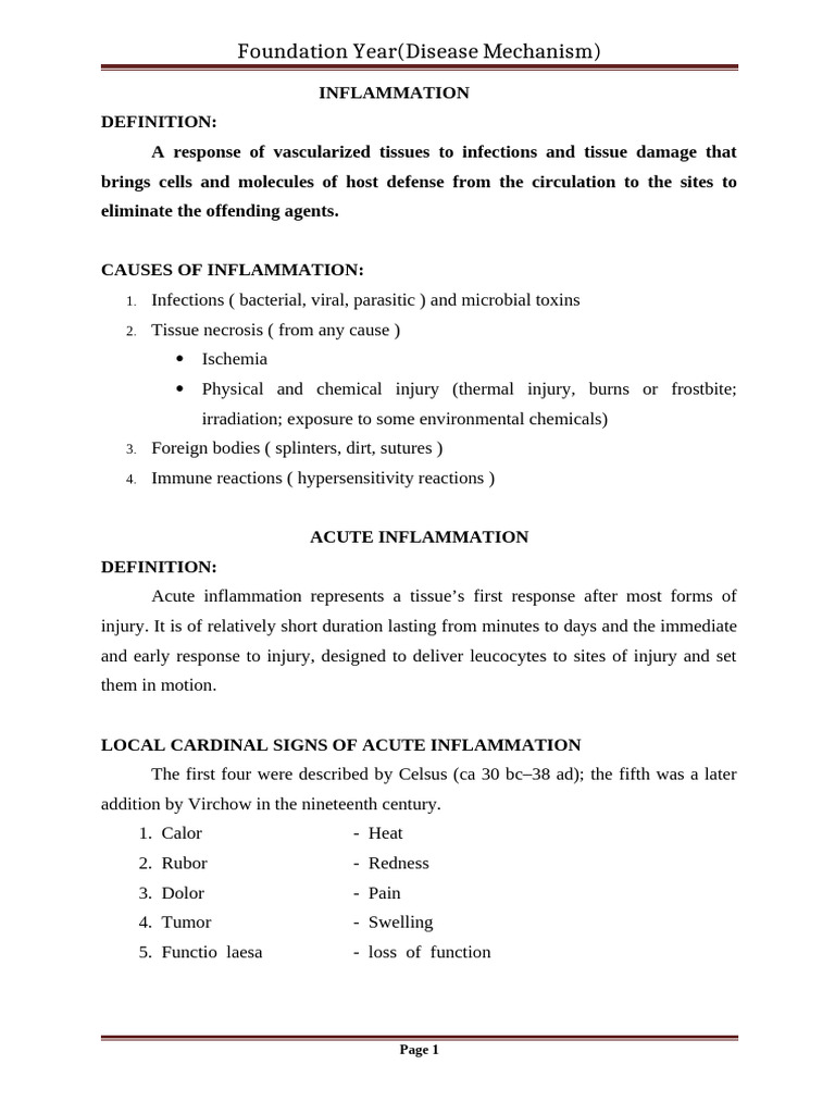 Foundation Handout | PDF | Macrophage | Inflammation