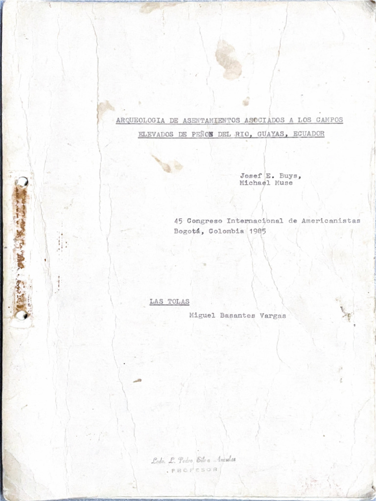Arqueología de Asentamientos Asociados A Los Campos Elevados de Peñon ...