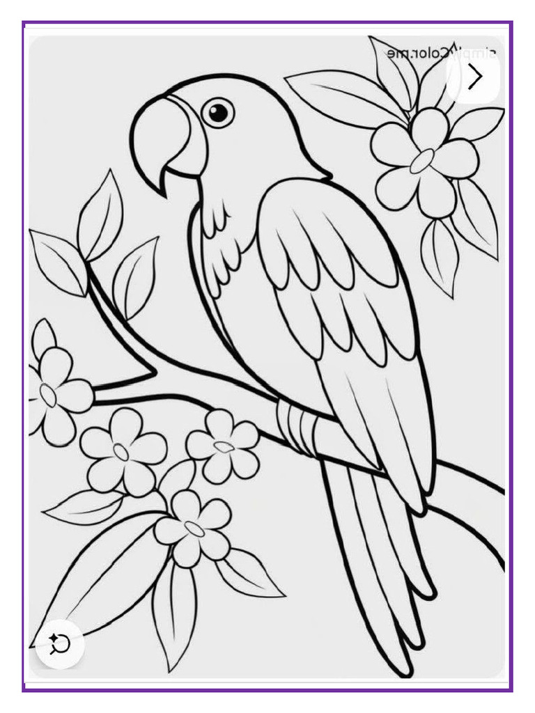 Loro Lindisimo | PDF