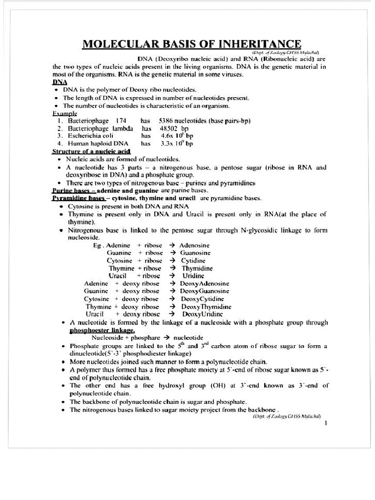 Lesson No. 4 Notes | PDF
