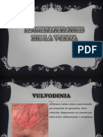 Enfermedades de La Vulva