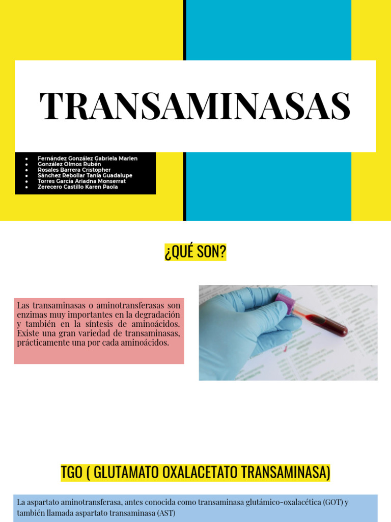 Transaminasas: Función y Niveles en Salud | PDF | Transaminasa | Bilis