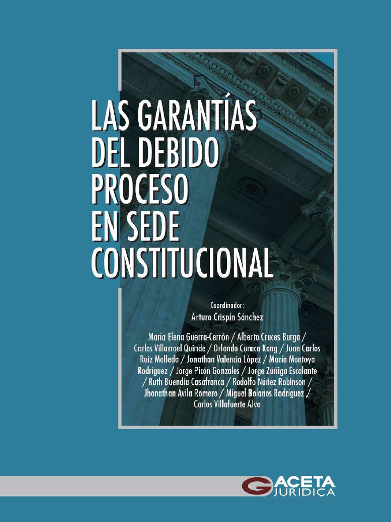 Garantías del Debido Proceso Judicial | PDF | Debido al proceso | Ley ...