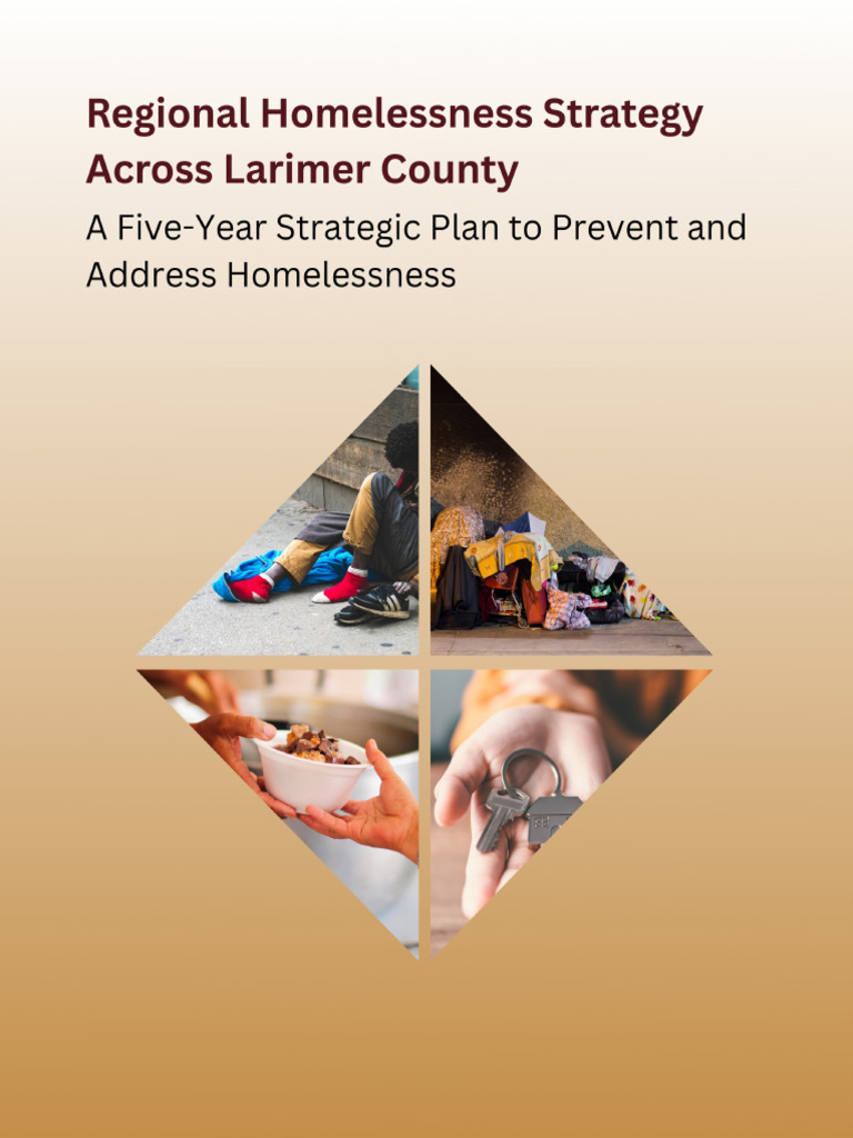 Larimer County Homelessness Strategy | PDF | Cost Of Living | Homelessness