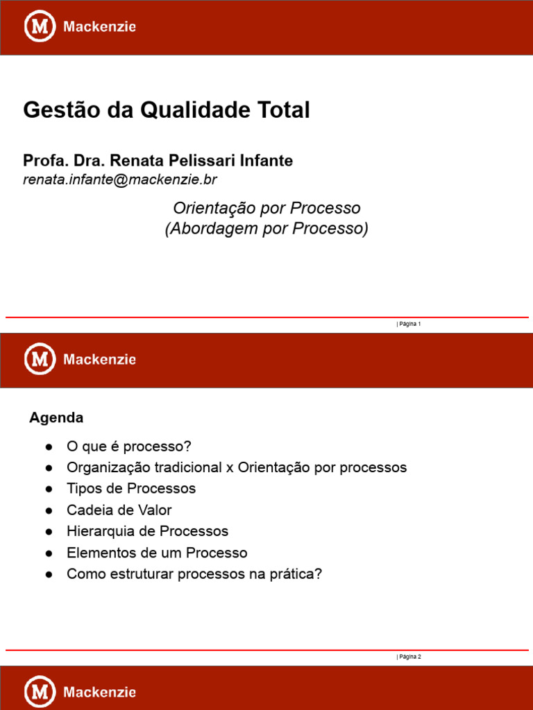 GQT GestãoPorProcessos | PDF | Qualidade (negócios) | Cadeia de valor