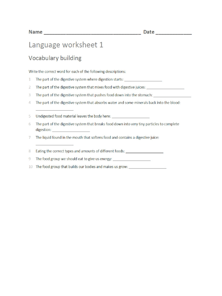 Language Worksheet - Extra | PDF