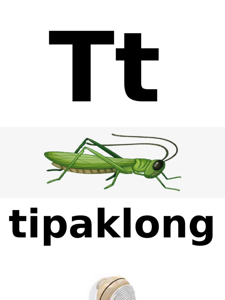 TT | PDF