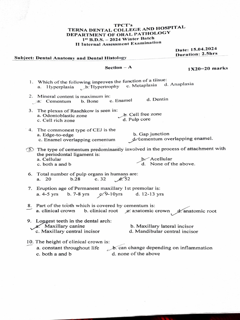 DADH | PDF