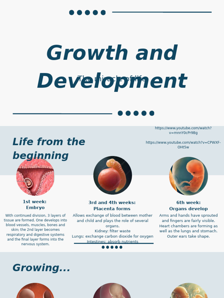 Human Growth and Development Stages | PDF | Adrenal Gland | Endocrine ...