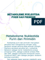 Metabolisme Purin Pirimidin