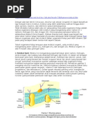 Download Sel by anon-770301 SN9292029 doc pdf