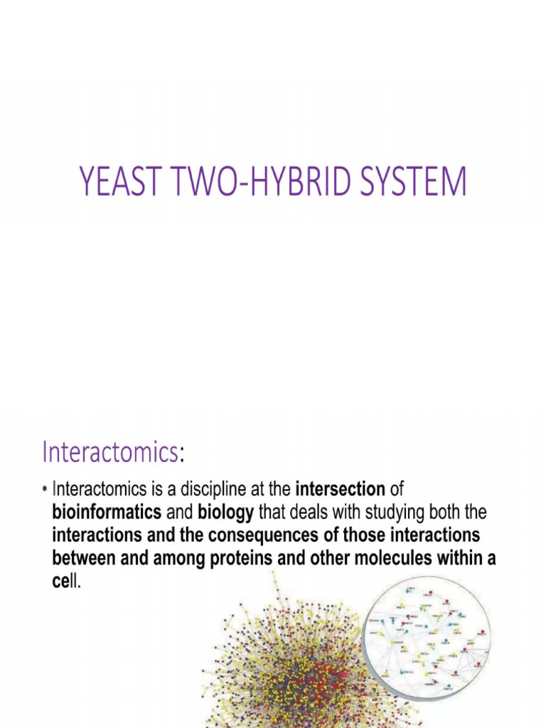 YEAST Two Hybrid System | PDF