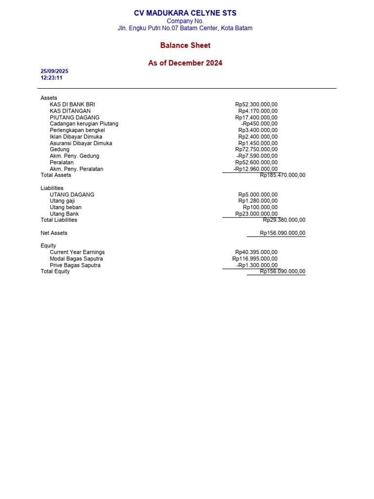 Balance Sheet | PDF