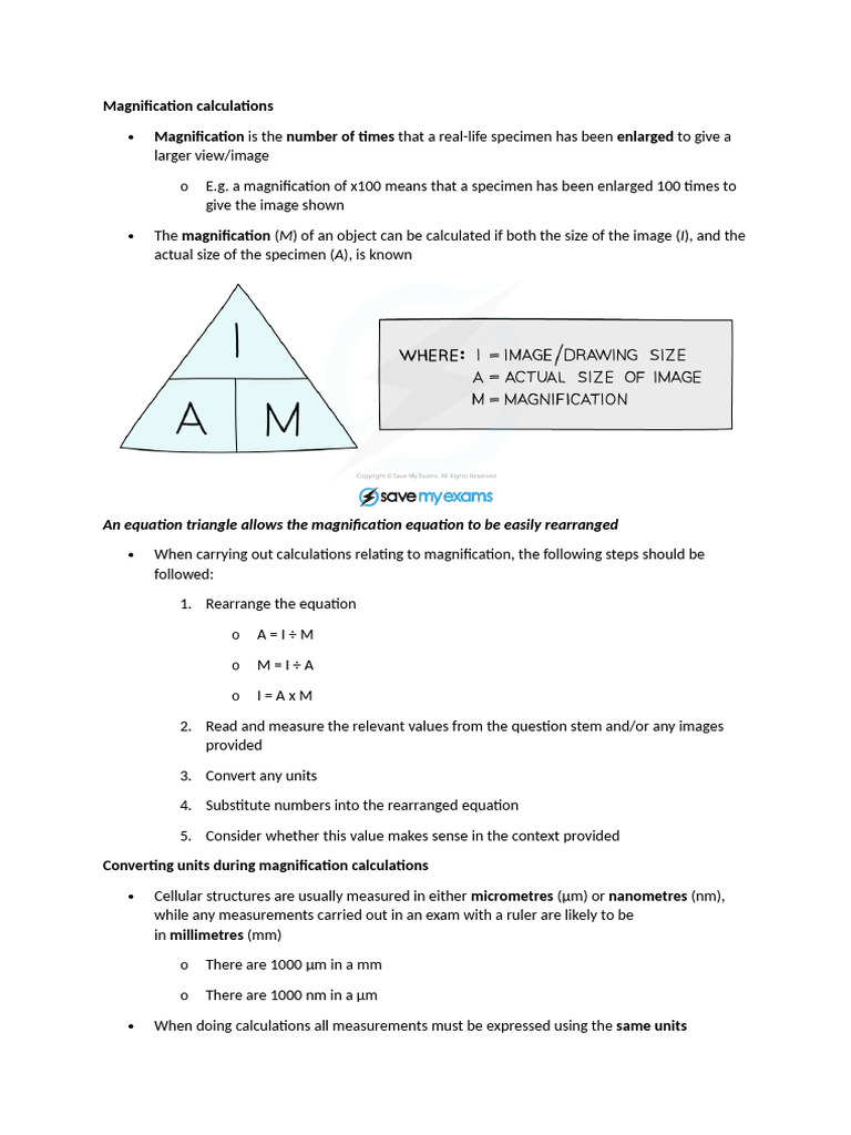 Calculating Magnification in Biology | PDF