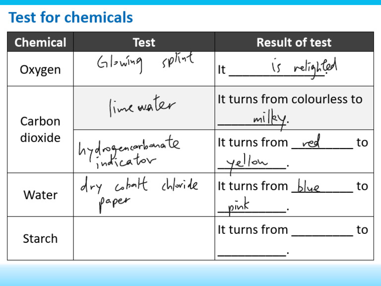 Chemical Test Results Overview | PDF