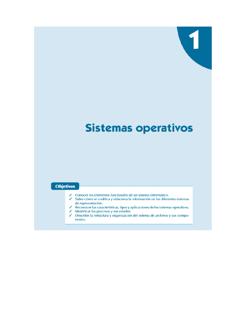 Tema 1 Teoria Libro | PDF