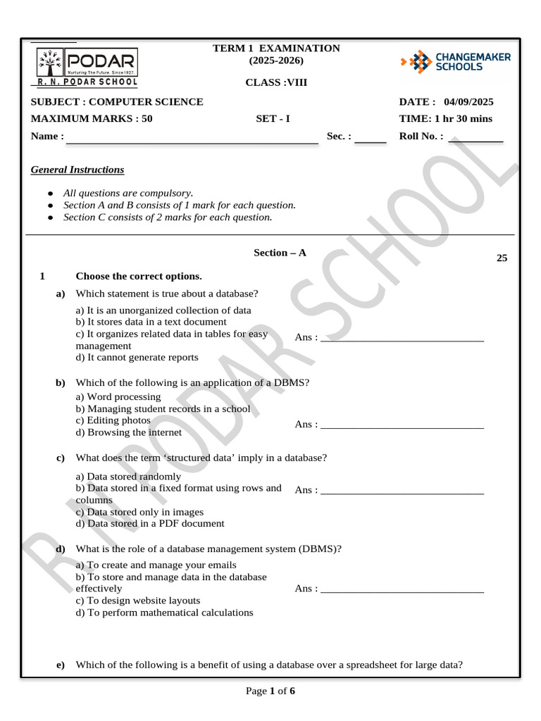 Class VIII Computer Science Exam 2025 | PDF | Computer Network | World ...