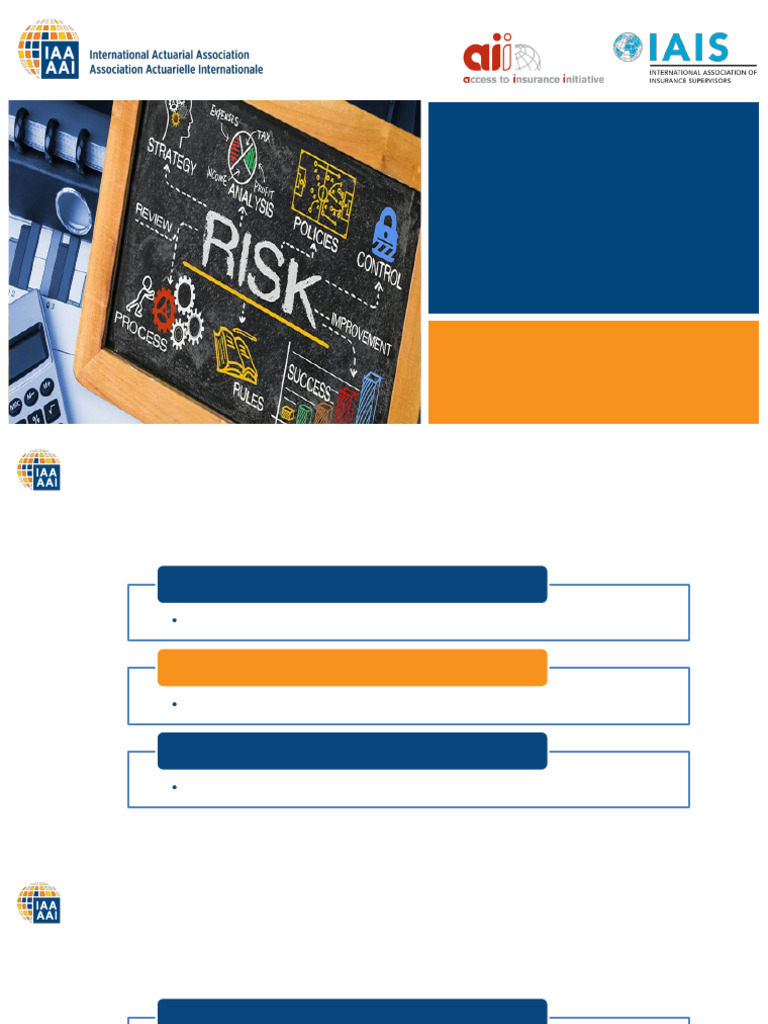 IAA A2ii ORSA RiskedBased Supervision | PDF | Risk | Financial Risk