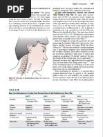 Upper Limb Tension Tests Guide | PDF | Anatomical Terms Of Motion | Elbow