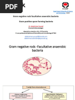 Gram Negative Rods Identification Flowchart | PDF | Gram Negative ...