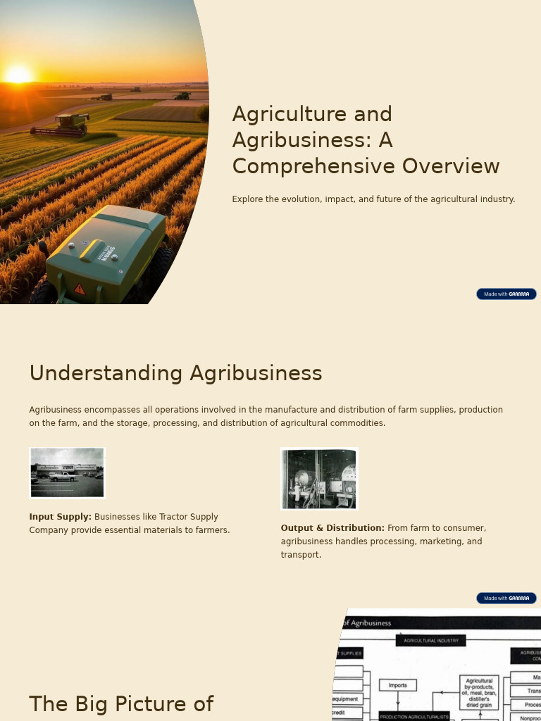 Agriculture and Agribusiness A Comprehensive Overview | PDF ...