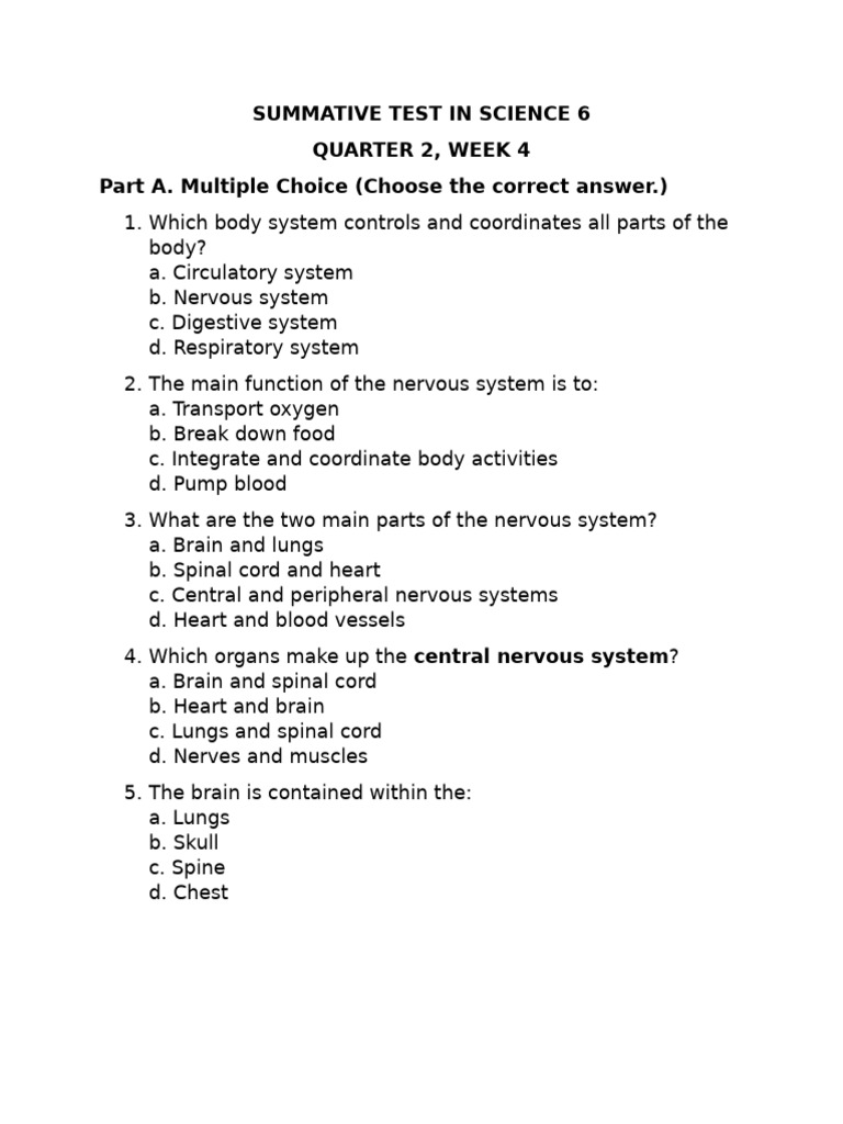 Science 6 Nervous System Test | PDF | Central Nervous System | Nervous ...