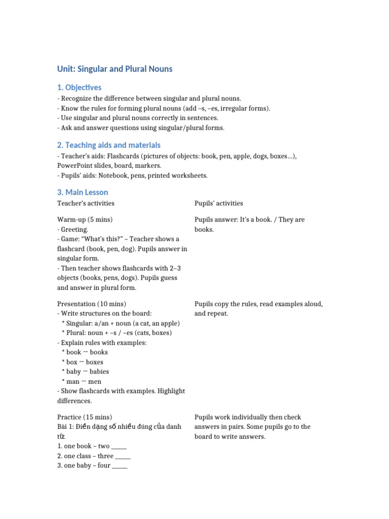Singular and Plural Nouns Lesson Plan | PDF